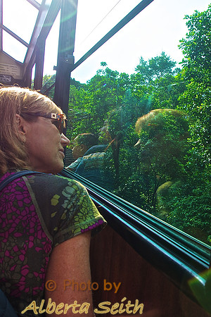 Victoria Peak Tram-Hong Kong