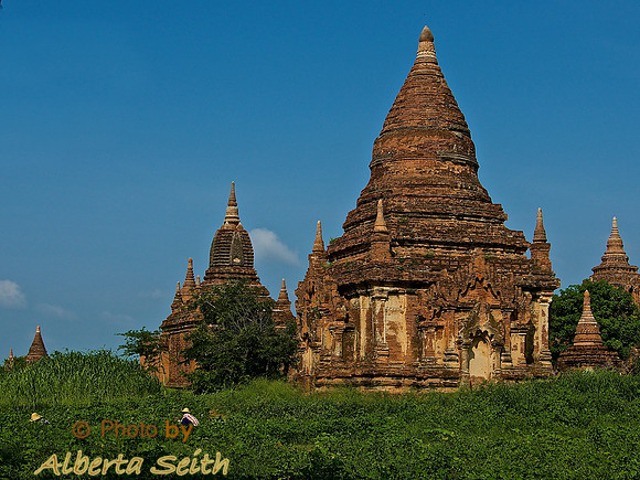 Ancient Temple among Sesame Plants