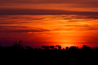 Sunset at Tarangire National Park Highlights Iconic African Trees on the Horizon