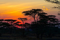 Ndutu Sunrise