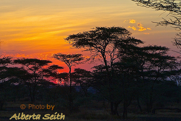 Ndutu Sunrise