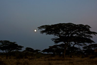 Moonrise-Ndutu