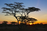 Sunrise-Ndutu, Tanzania