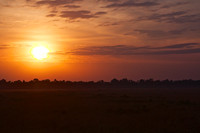 Sunrise over the Mara Triangle Bathes the Area in a Golden Glow