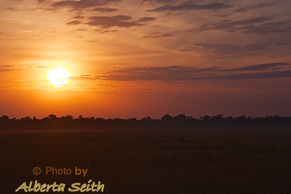 Sunrise over the Mara Triangle Bathes the Area in a Golden Glow