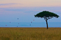Hot Air Balloons over the Mara at Dawn- Kenya