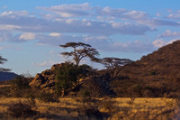 Evening in  Samburu National Reserve