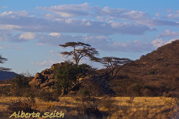 Evening in  Samburu National Reserve