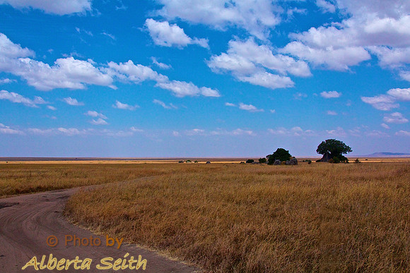 A Road Winds through the Serengeti, Passing beside Granite Kopjes