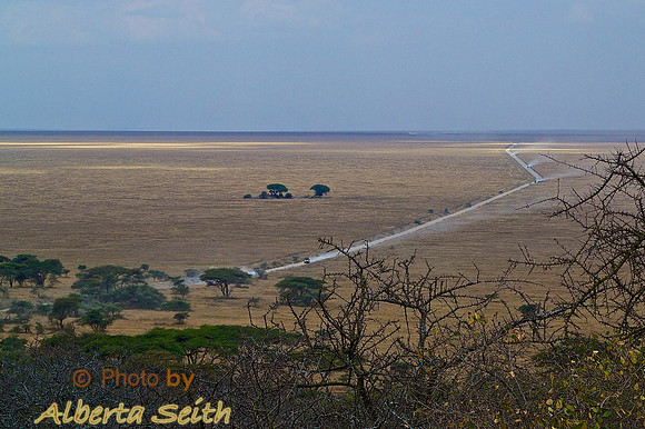 A Rocky Hill and How the Serengeti Got Its Name-Tanzania