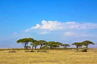 Serengeti Plains-Ngorongoro