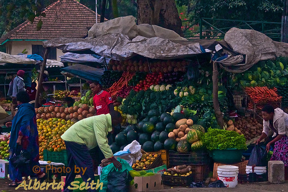 Roadside Fruit and Vegetable Stand outside Arusha, Tanzania