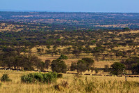 The Maasai Mara- Northern Serengeti  of Tanzania