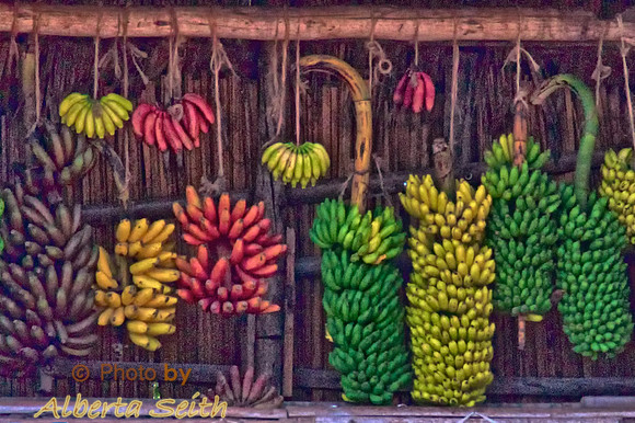 Roadside Fruit Stand with Bananas in a Rainbow of Colors-Mosquito Creek, Tanzania