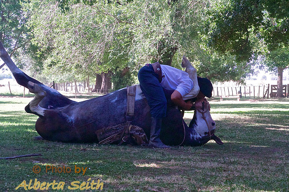 Gaucho horse show at Estancia El Umbu de Areco