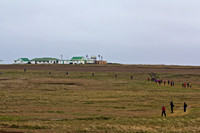 Falklands and South Georgia Island