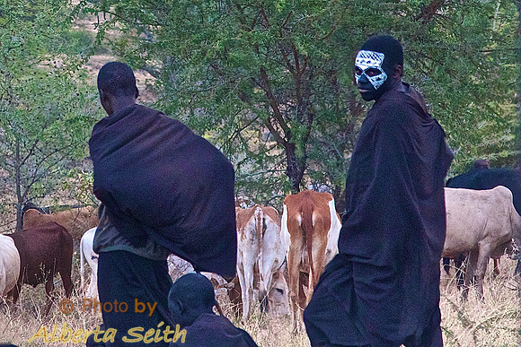 Maasai after Circumcision Ceremony