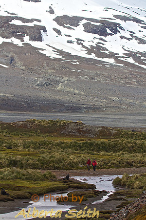 Landing at Peggoty Bluff, South Georgia Island
