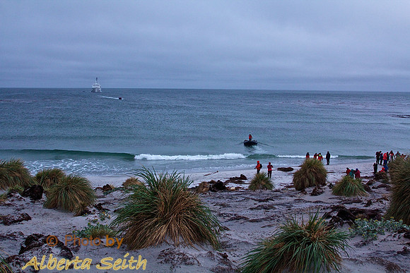 Zodiac Landing, Sea Lion Island