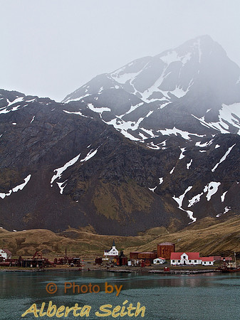 Grytviken Whaling Station