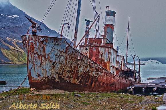 Grytviken