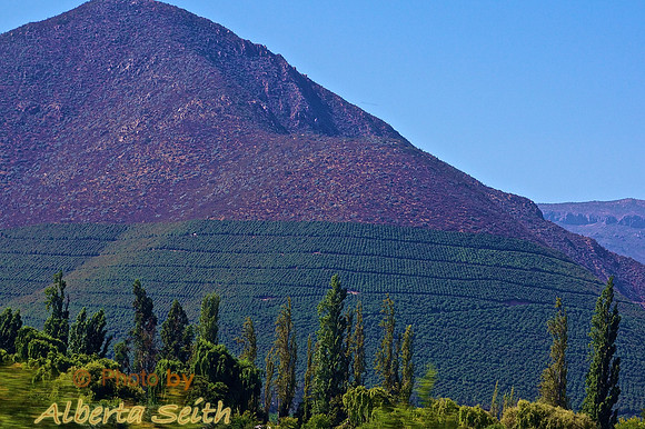 Vineyards Cover the Cordillera de la Costa, Northwest of Santiago, Chile