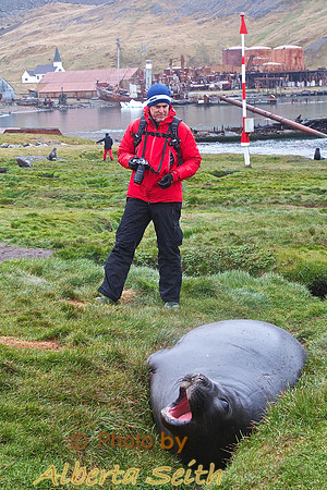 Grytviken
