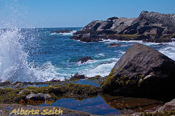 Tidal pool at the Humboldt Penguin Sanctuary near Valparaiso, Chile