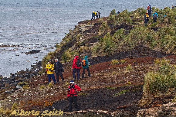 Sea Lion Island