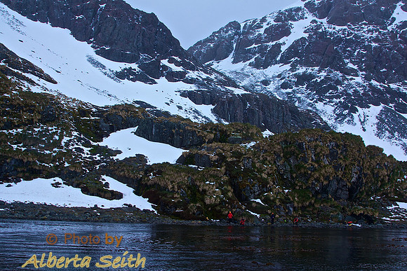 Bonner Beach, Larsen Habour on South Georgia Island