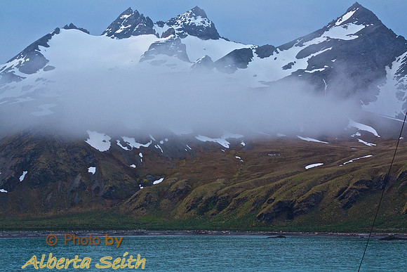 to Elephant Island