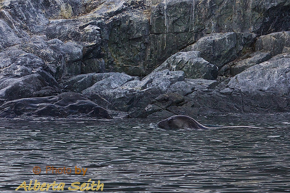 Cuuverville Island