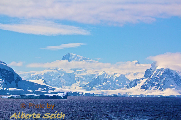 Whales in the Gerlache Strait