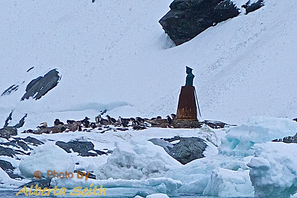 Elephant Island