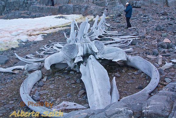 Climbing the rock at Jougla Point