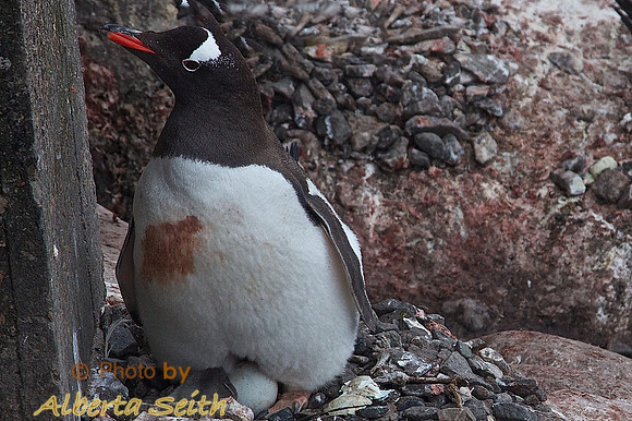 Post Lockroy