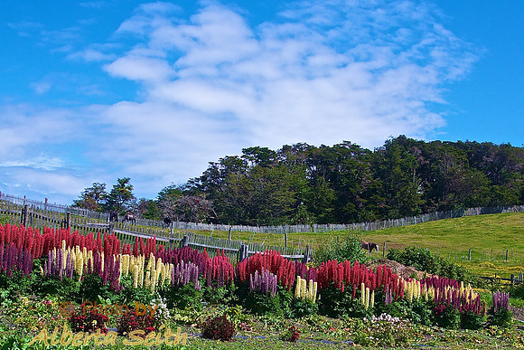 Ushuaia