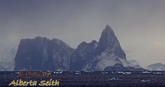 Zodiac extravaganza- First day in Antactica