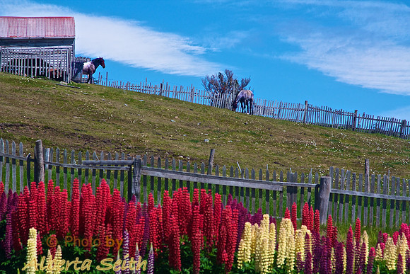 Ushuaia
