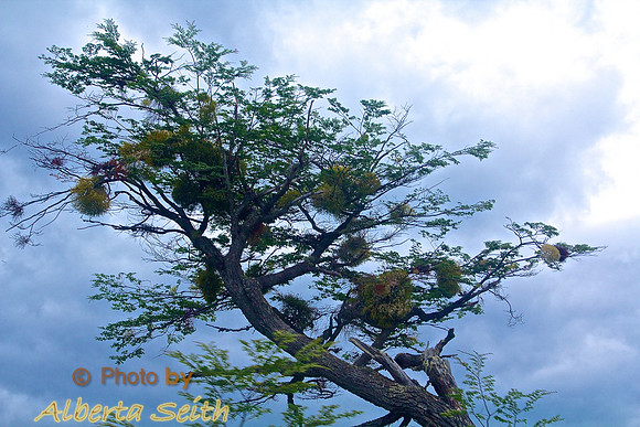 Parque Nacional del Fuego