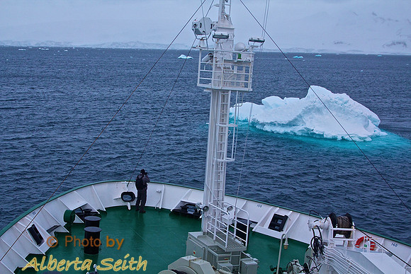Icebergs and Packed Ice