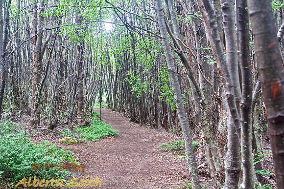 Parque Nacional del Fuego
