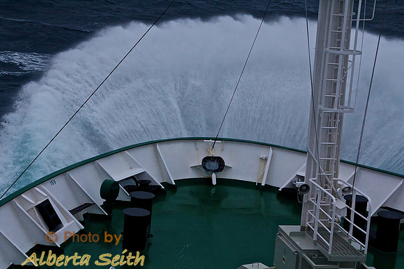 to Elephant Island