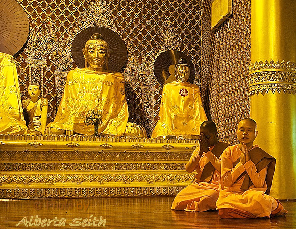 Female Monks Pray at Schwedagon