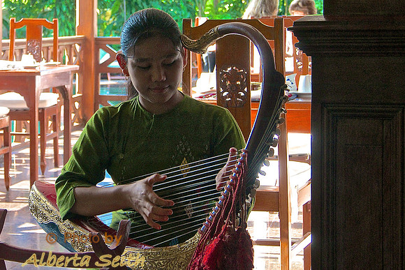 Playing a Burmese Arched Harp