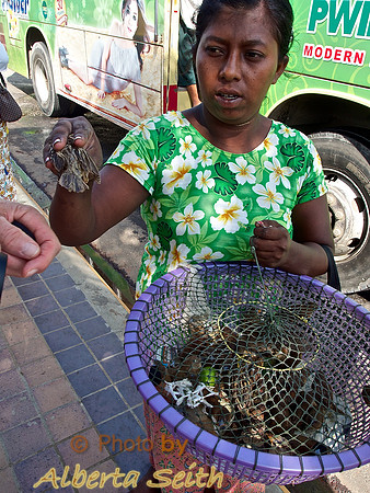 Freeing Birds as a Good Deed